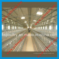 Bird Cage for Hot Sale to Algeria and Africa